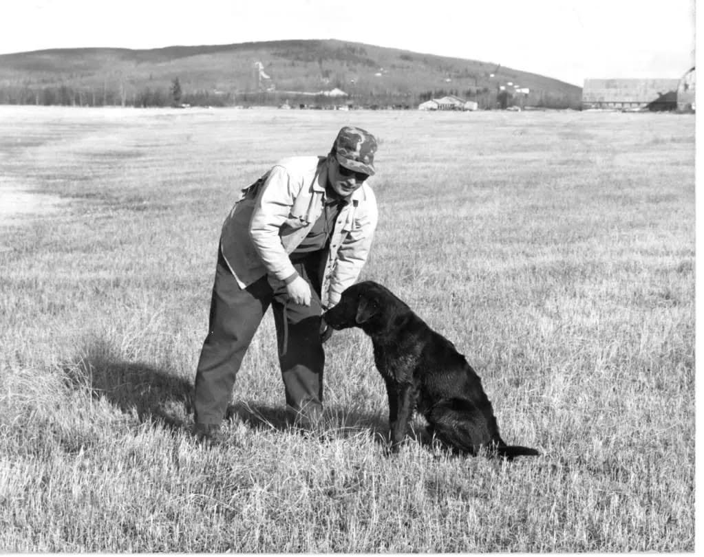 A handler in a camouflage cap crouching beside a black Labrador sitting in an open field, with a long ridge and a ski jump on the hillside behind